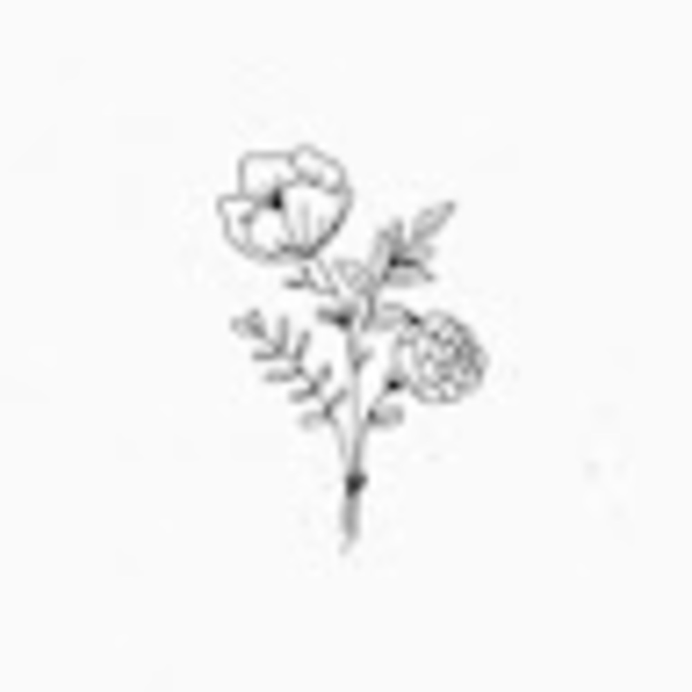 Meet your Posher, Luciana